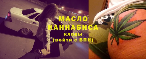 индика Аркадак