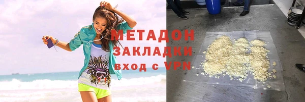 индика Аркадак